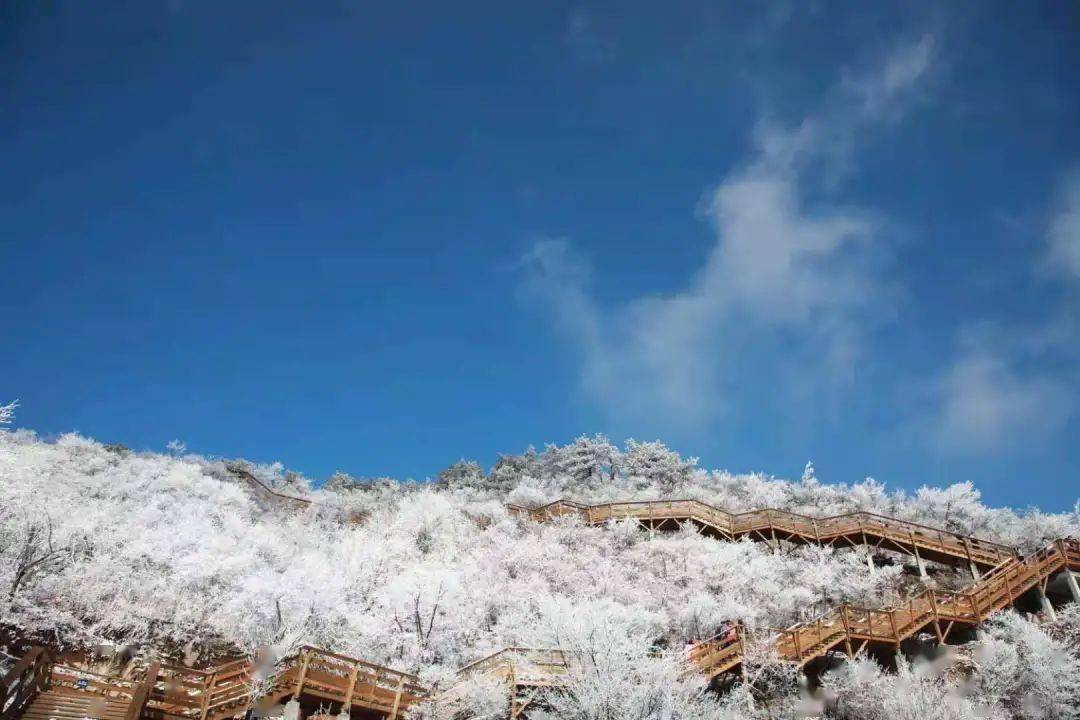 兰溪越龙山雪景图片