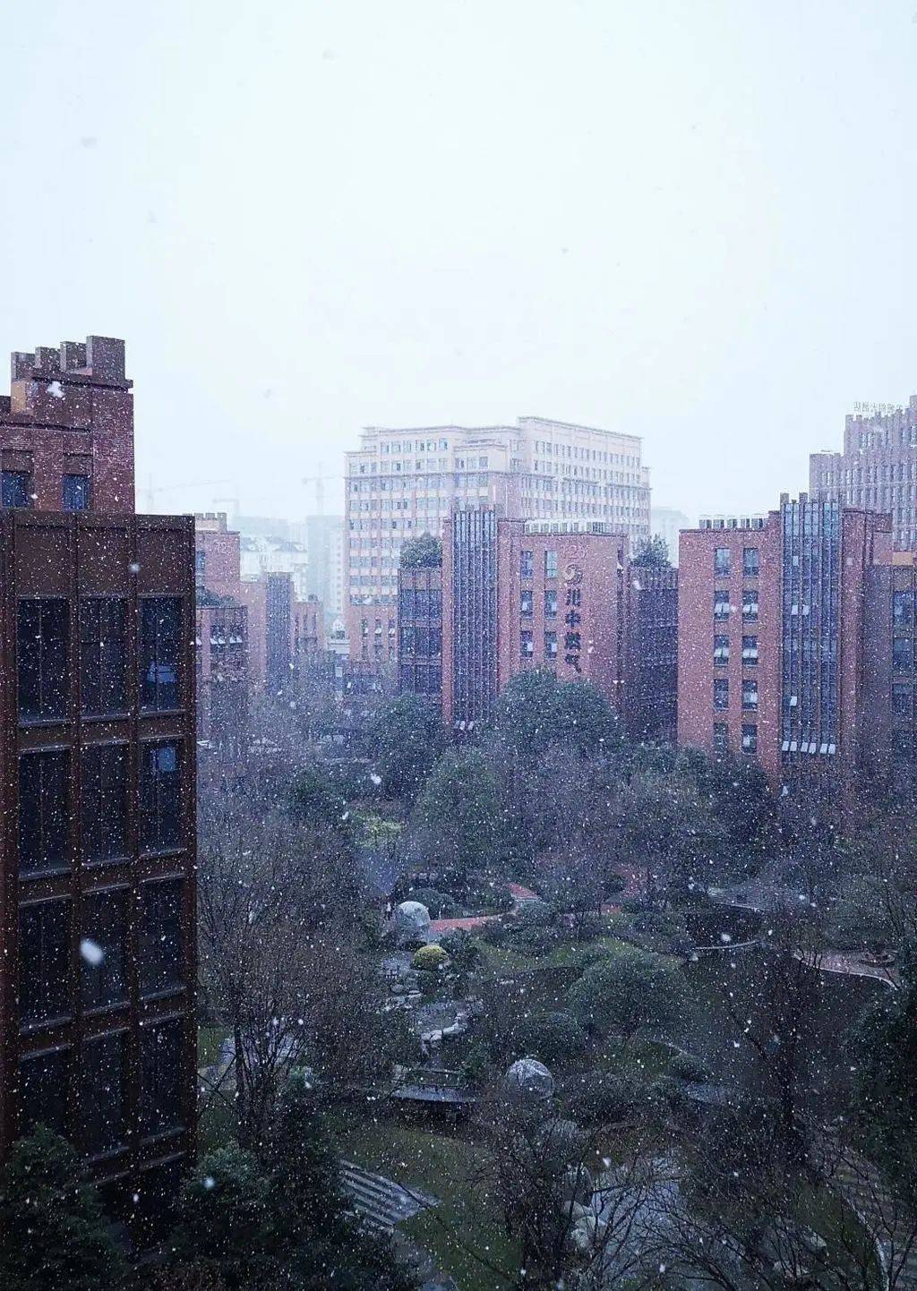 成都下雪啦!这次不是头皮"雪"~~是"鹅毛小雪"!开心得不要不要的