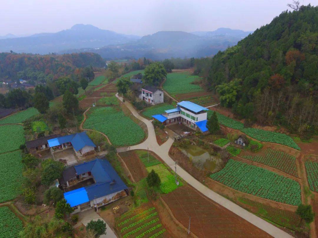 来了来了!阆中十大"最美"来了