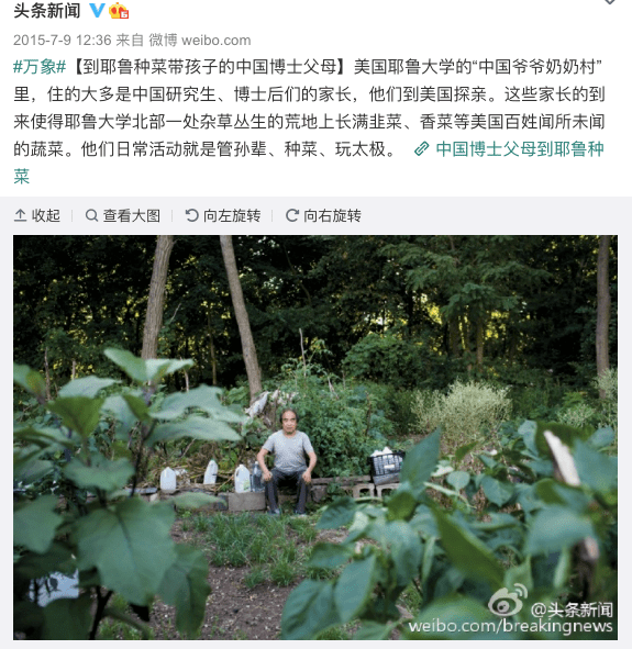 零废弃 | 利用废弃装置种菜,中国人可能真的有点天赋