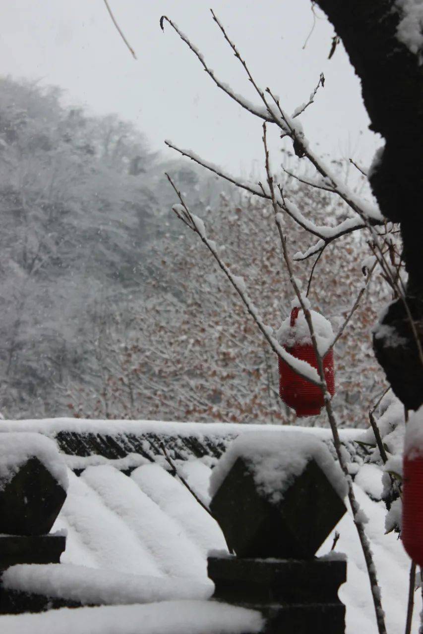都江堰灵岩山新年第一场雪满是古风之美