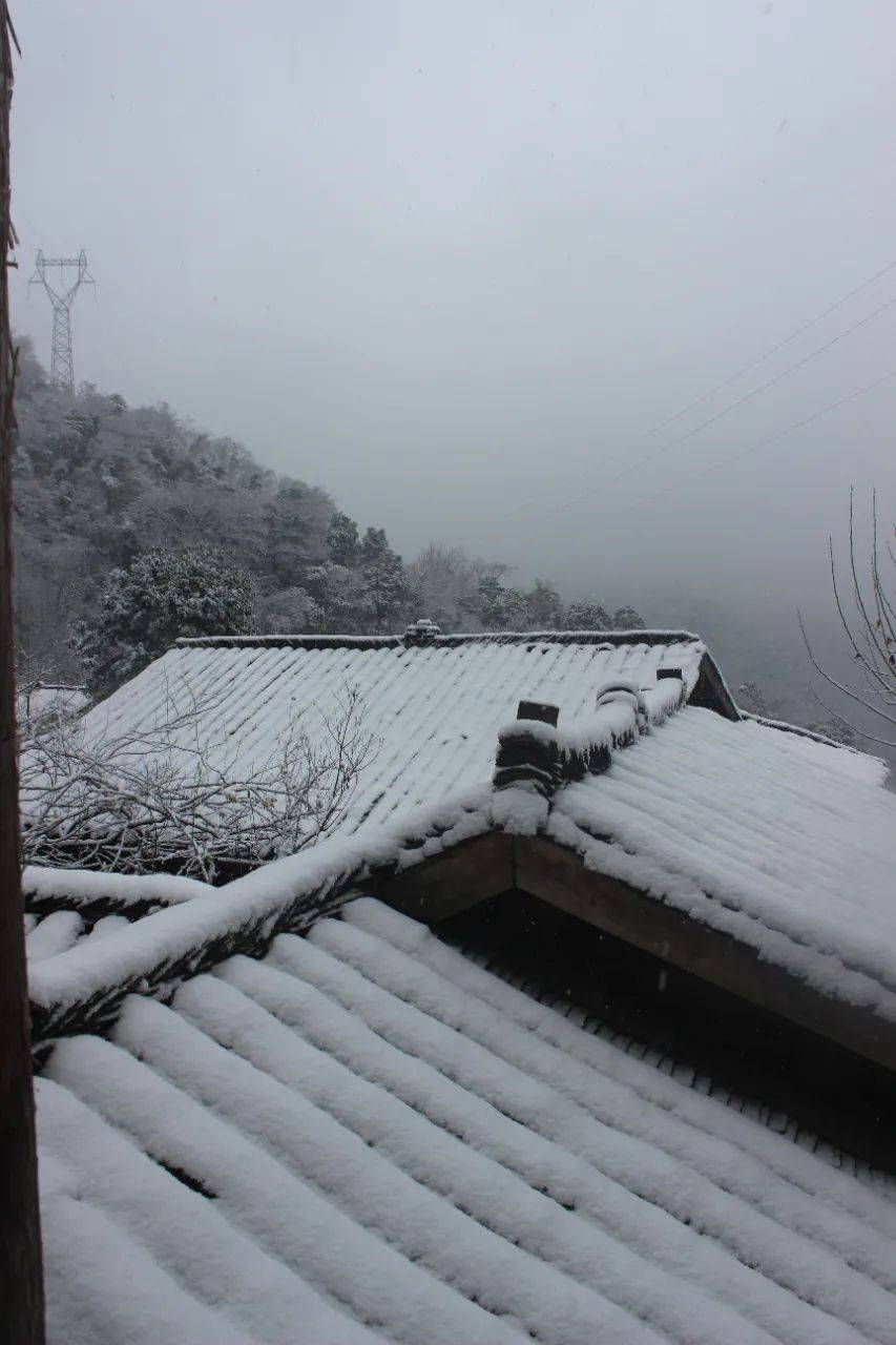 都江堰灵岩山新年第一场雪满是古风之美