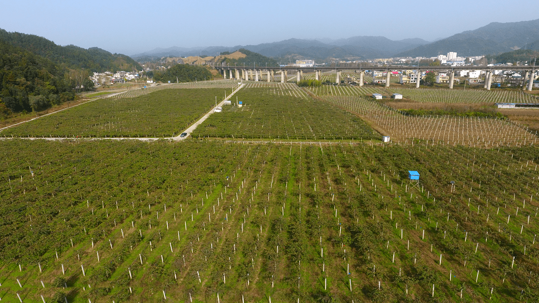 县委书记许水兆深入富水镇宣讲党的十九届五中全会精神