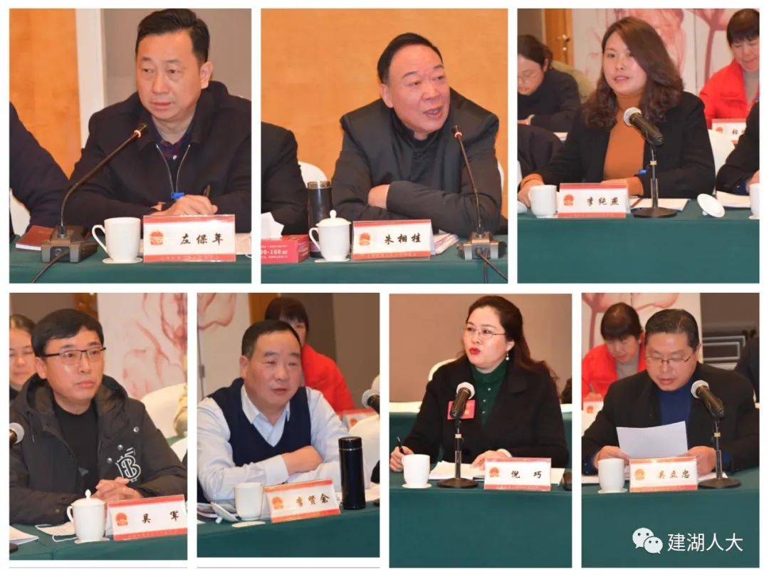 县委书记陈平参加县十八届人大五次会议近湖代表团审议