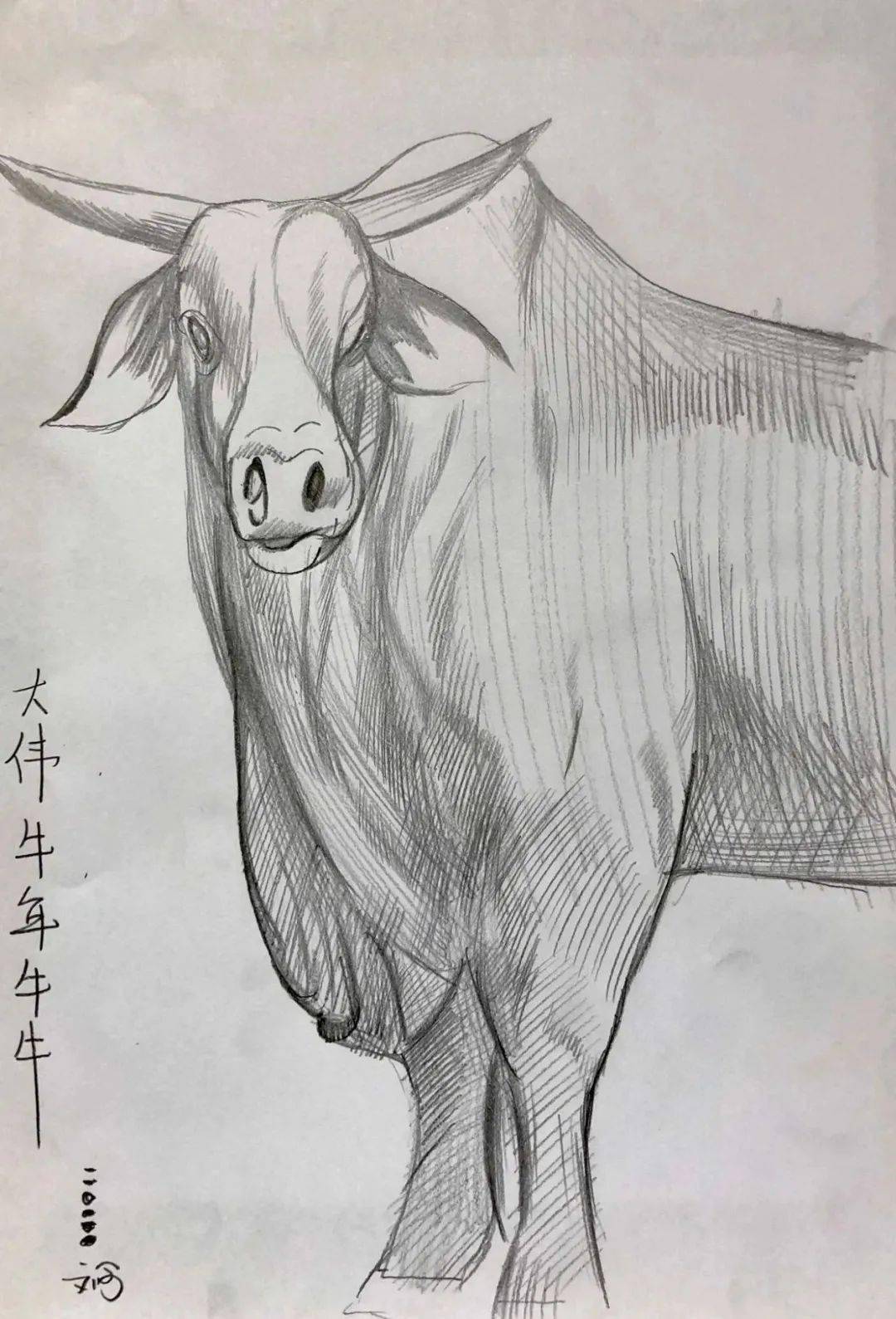 2021牛的画法图片