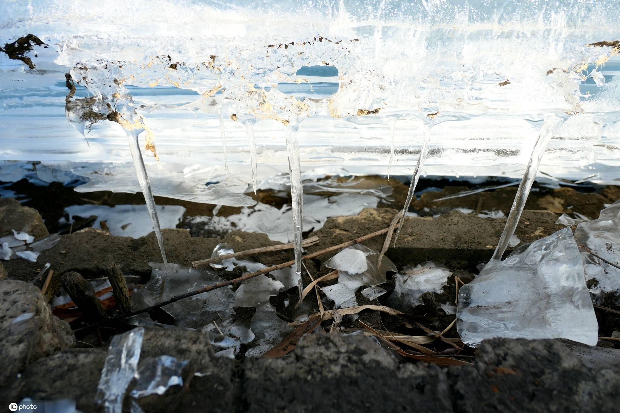 寒潮来袭 北京晋元滨水公园滴水成冰