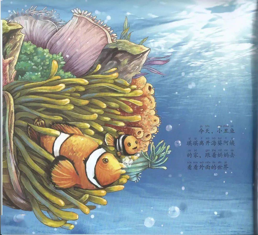 【科学小故事】鲨口余生_手机搜狐网