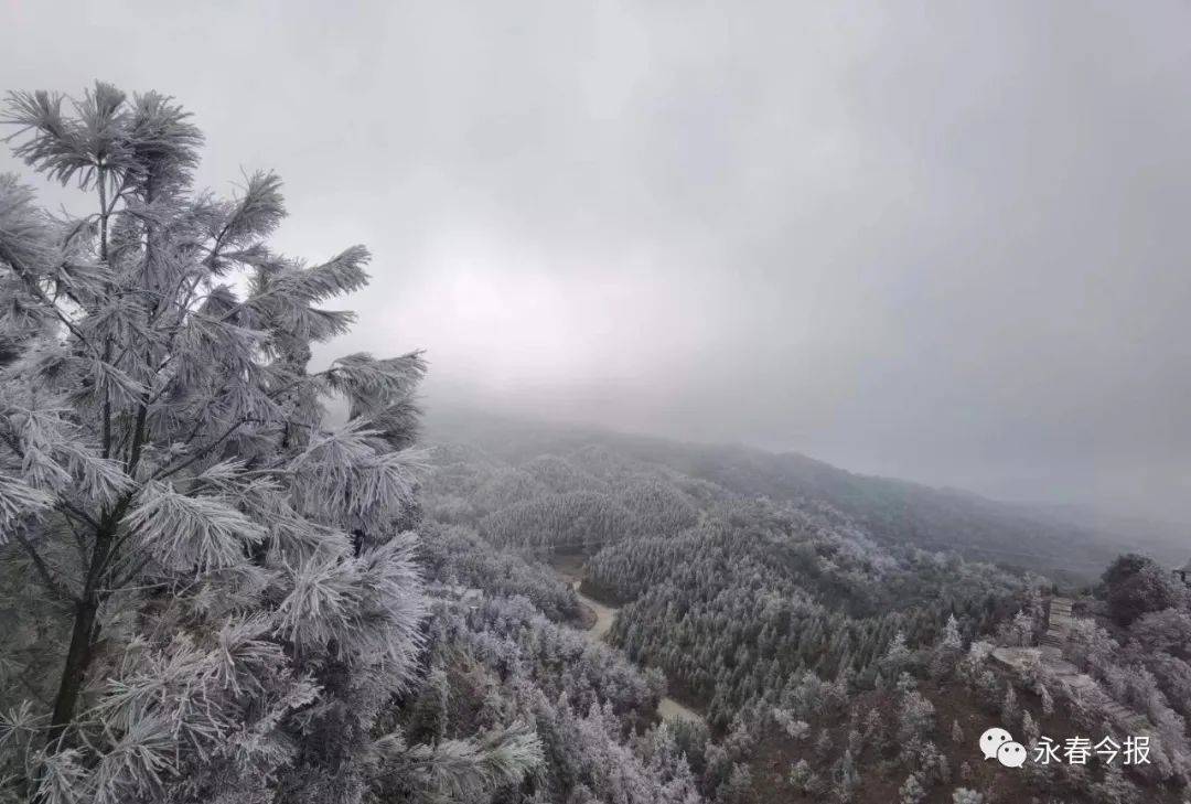 摄影丨永春网网友陈佐亮对于一直在等待下雪的朋友们来说这一场雪来