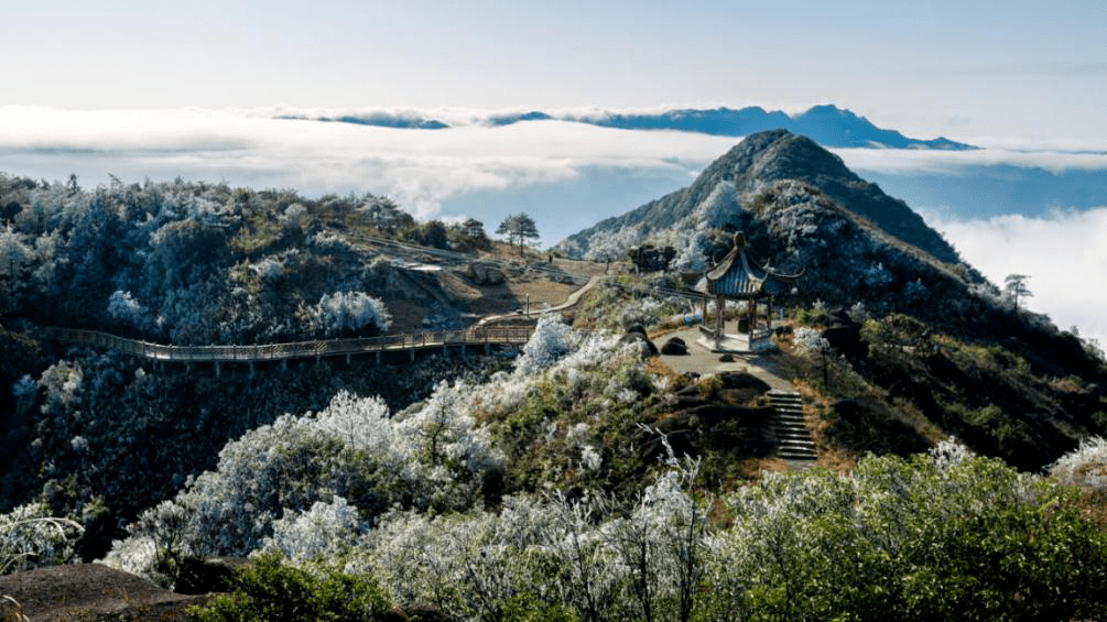 走进古田梅花山相约古田梅花山踏雪寻梅邂逅2021南国初雪