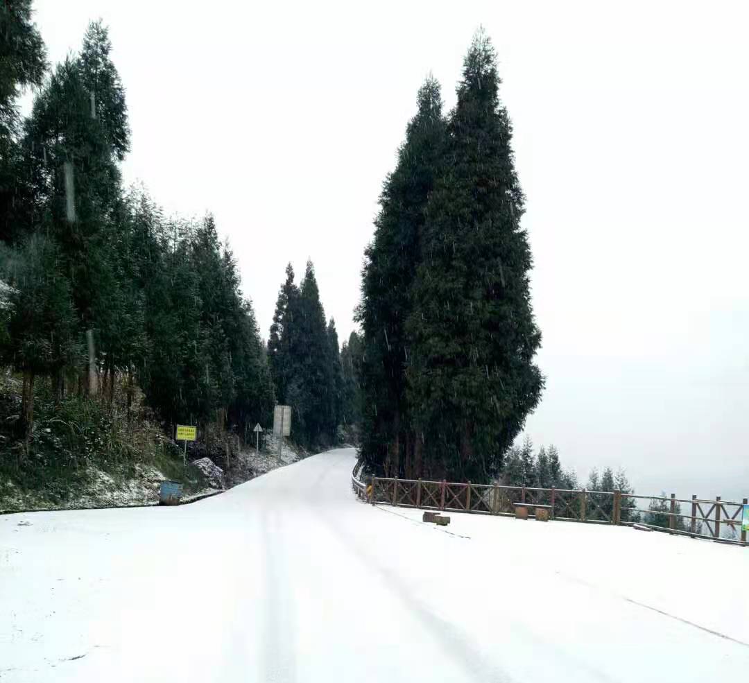 属龙门山南段延伸山系的南宝山海拔高度700