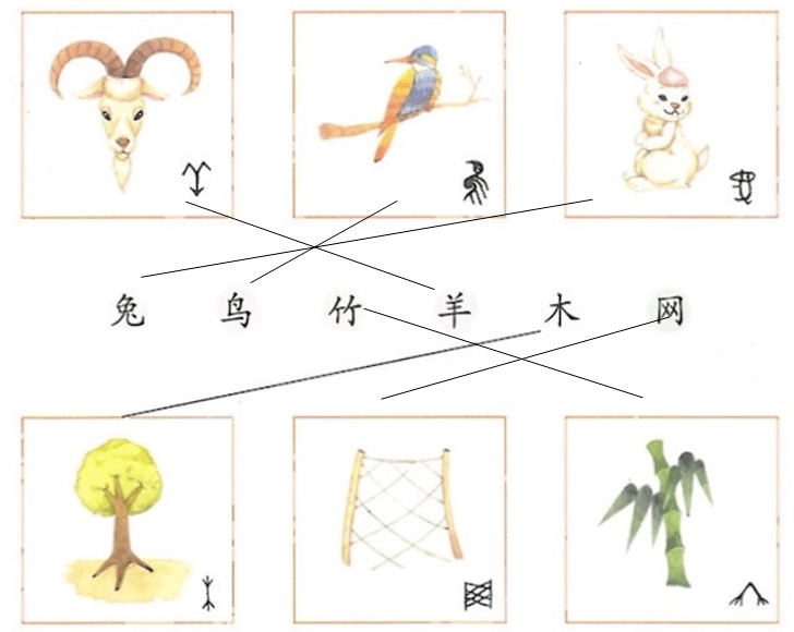 猜一猜连一连动物图片图片