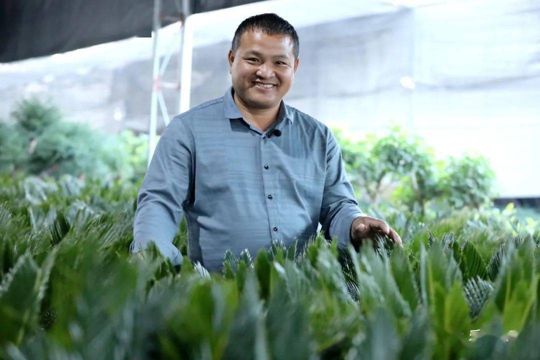 天南地北乐平人两万乐平人花城发花财