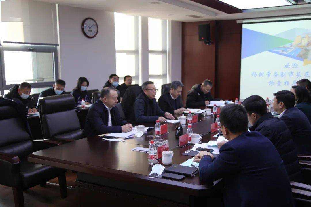 要闻| 副市长杨树调研指出:合作区要争做全市改革开放先导区和经济