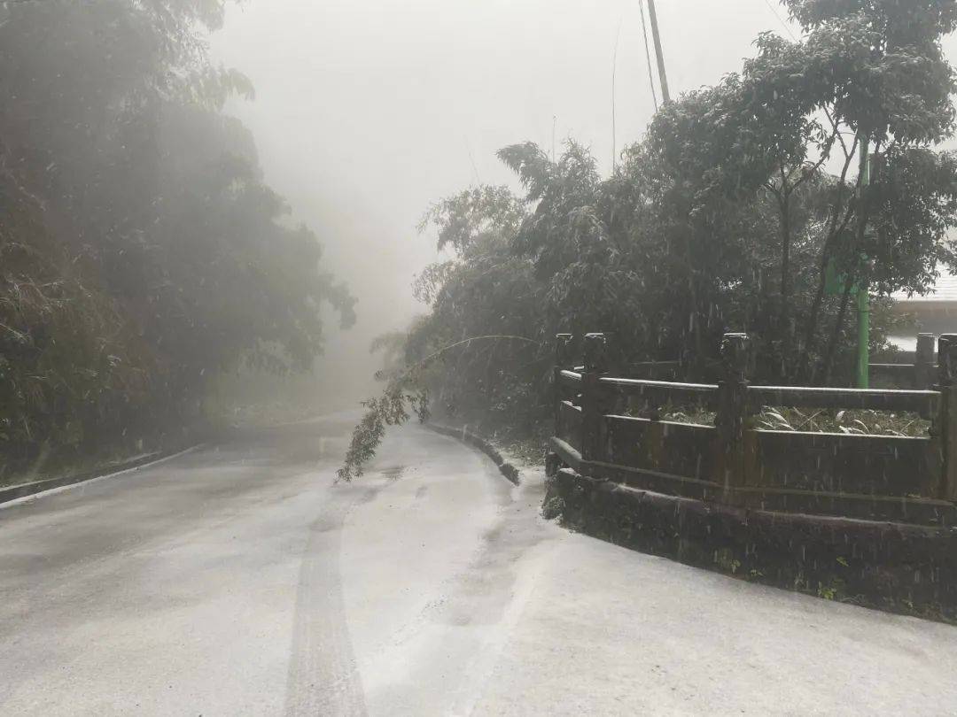 成都下雪了竹海下雪了天宫山下雪了宜宾主城被雪包围了