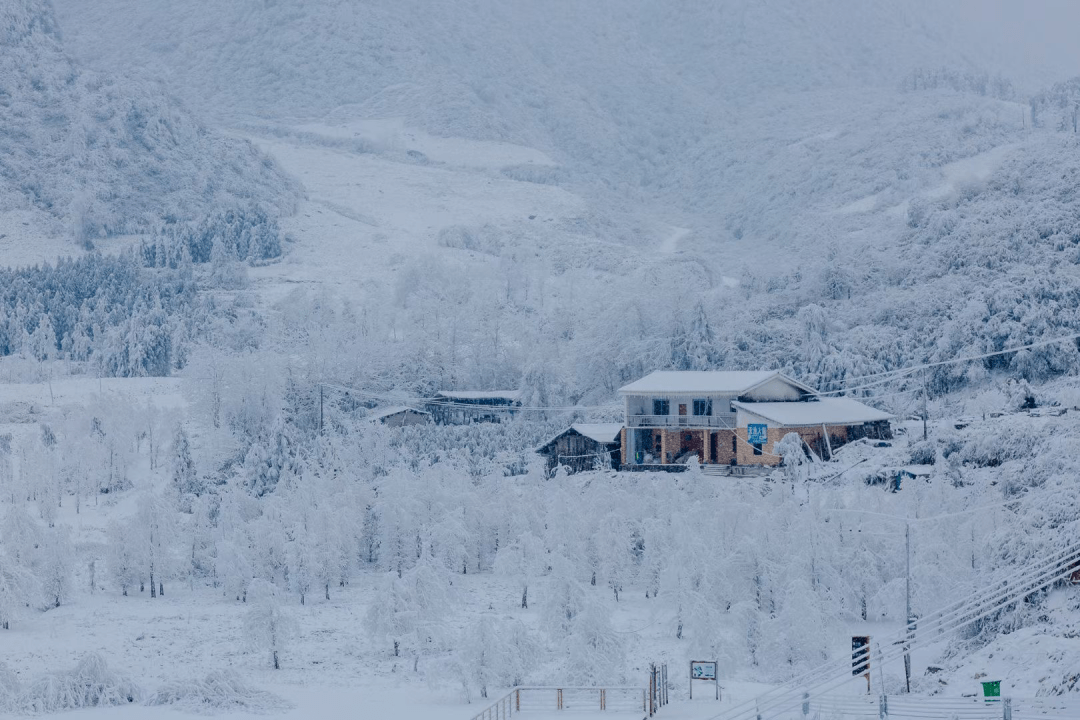 【今日分享】银装素裹,皑皑白雪,不放大招你都不知道乐山也有魅力雪景