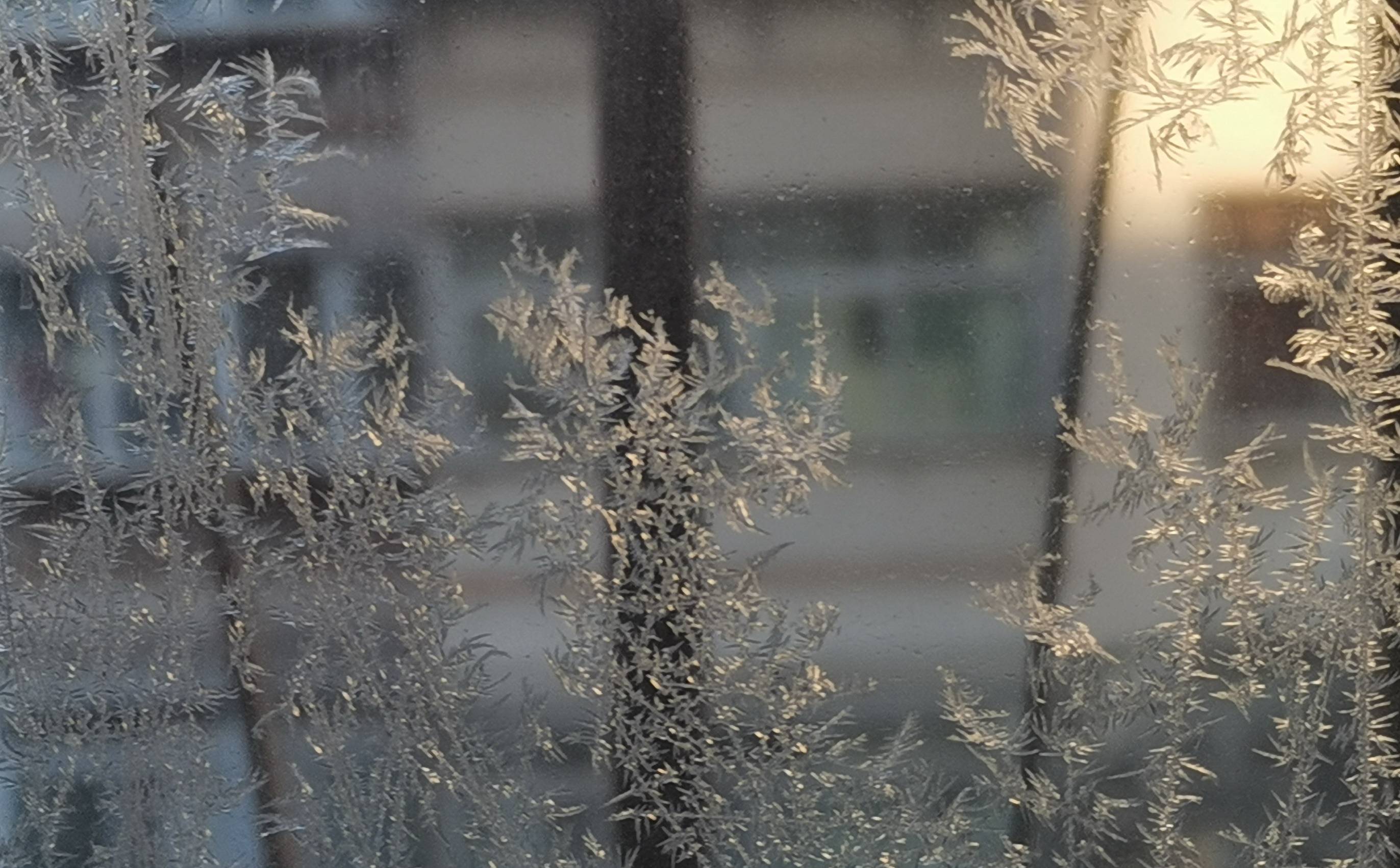 冬天玻璃上的窗花图片