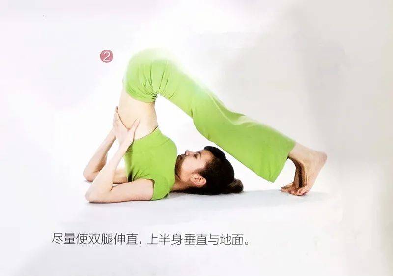 【肩立式】每日瑜伽体式,轻松入门