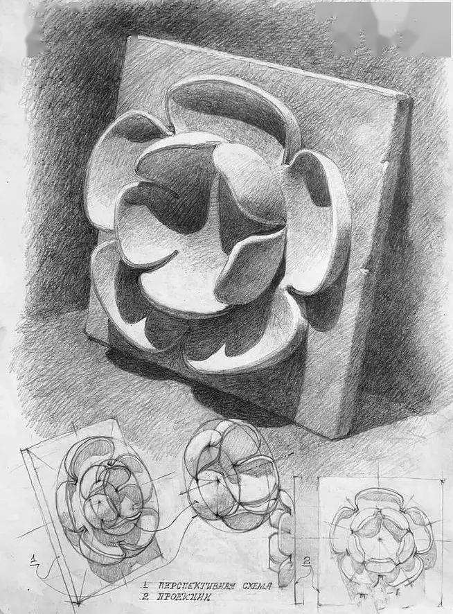 国外学生静物素描欣赏精彩