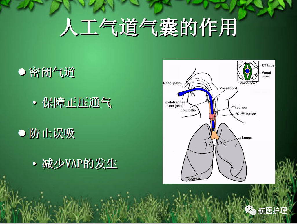 人工气道的管理