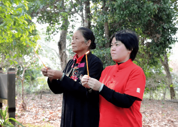 澜沧古茶2019年营收38亿普洱生茶熟茶谁赚钱多