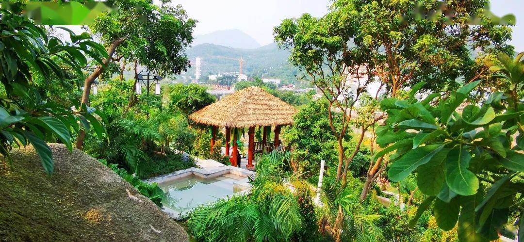 699元买一送一!畅享无限次半山温泉,自助早餐,叹下午茶~欢乐自游行