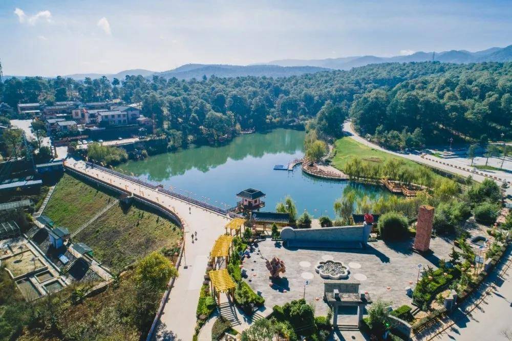 楚雄紫溪森林康养小镇项目发布会暨产业签约仪式圆满举办