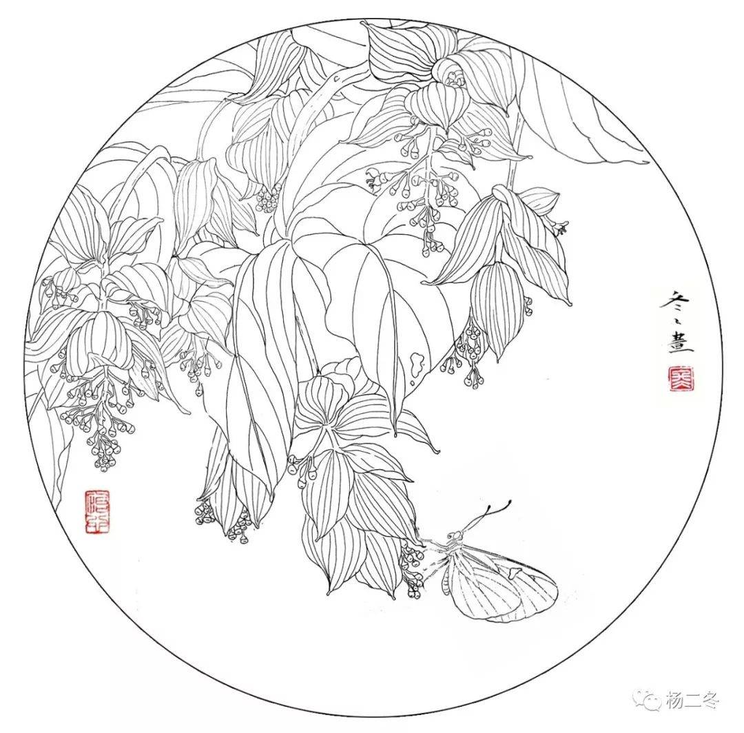 分享一組寫生素材和白描線稿