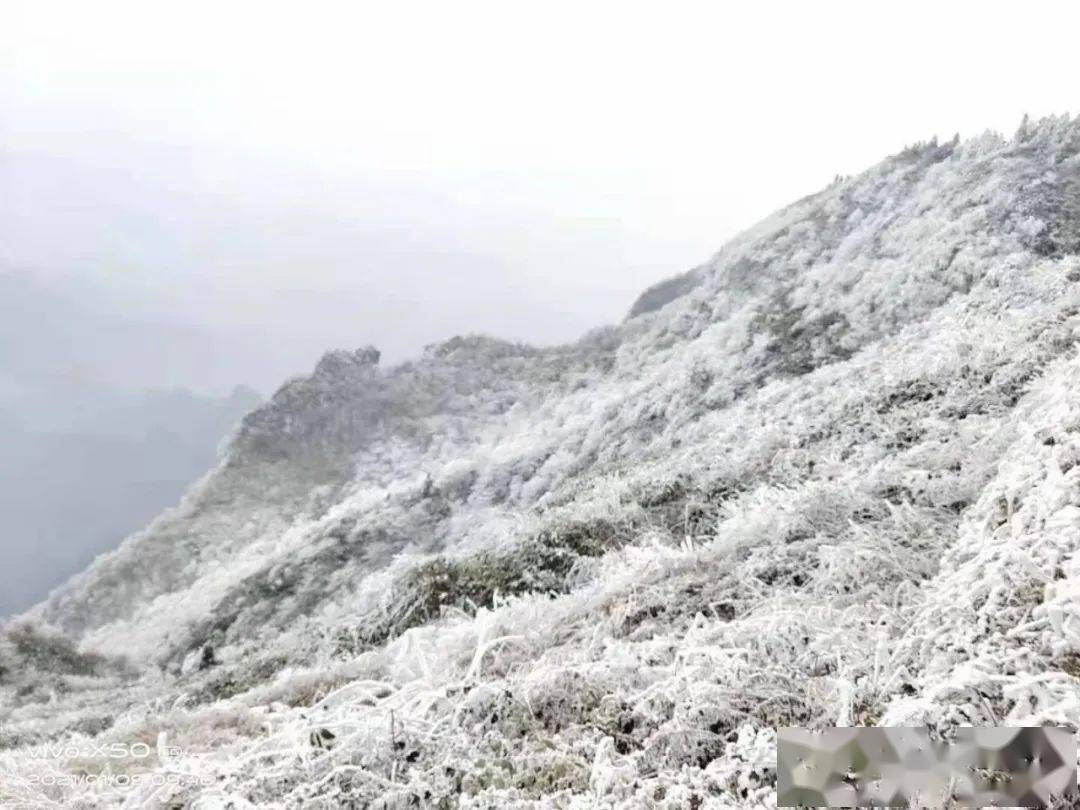 摩围山的雪太美啦