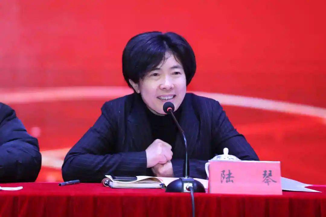 陆琴对教育学会工作给予肯定.