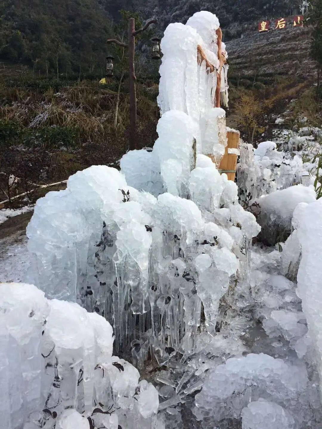 廣東清遠連山皇后山茶莊園看廣東小雪鄉賞冰掛雪景看網紅高山冰雪茶場