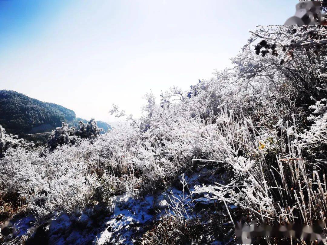 寿宁雪景图片