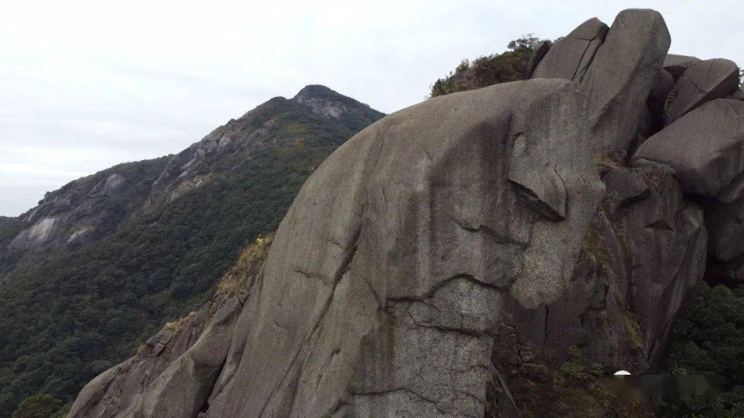 云山里的天然巨鹰