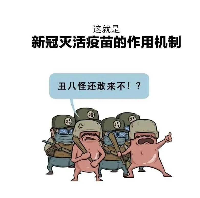 新冠灭活疫苗科普动漫罪犯小c的双面人生