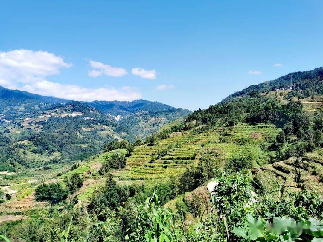 致沙拉托乡不平凡的2020文末有惊喜