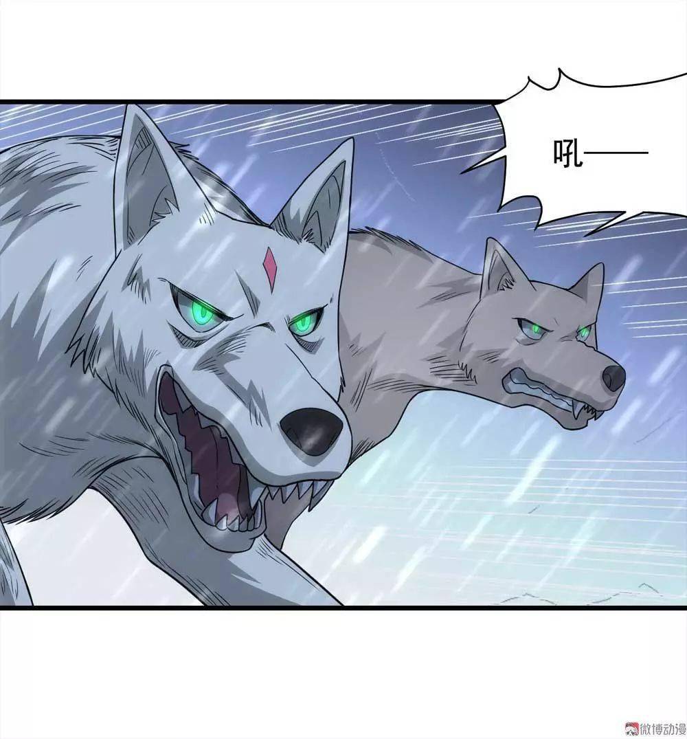 【悬疑猫】白狼托孤_动漫