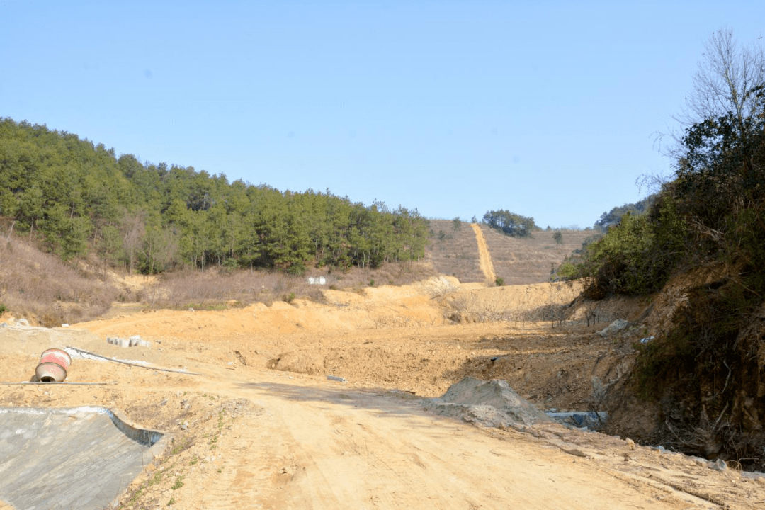 徐古街琵琶堖村的森林防火隔離帶建設情況