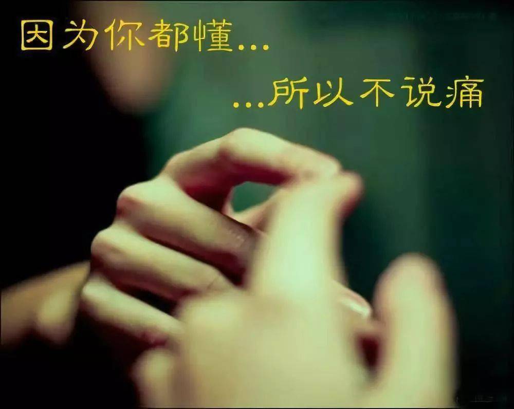 适合发抖音的情感句子