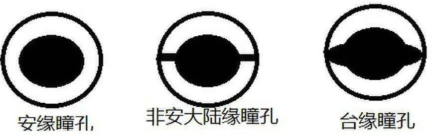 如何区分安缘、台缘、大陆非安以及杂缘？_颜色