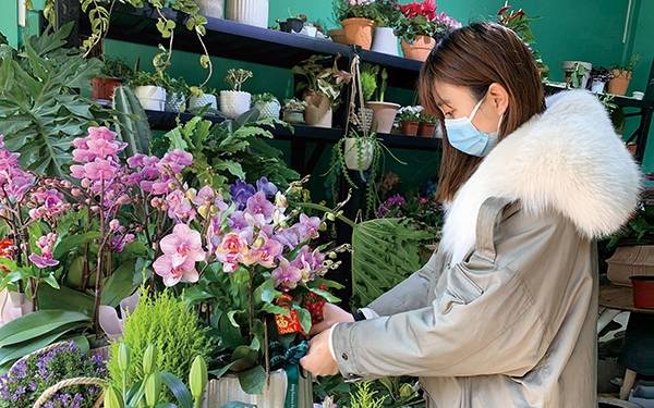 年宵花登场 线上售卖受青睐_花友群