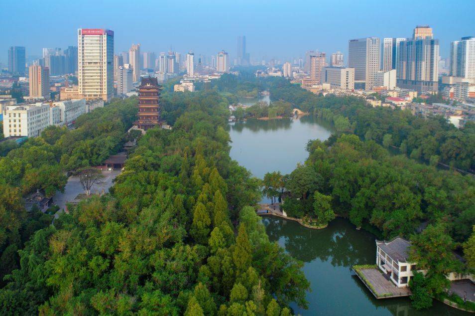 统筹城乡绿化 建设绿色合肥 为打造生态新高地提供支撑