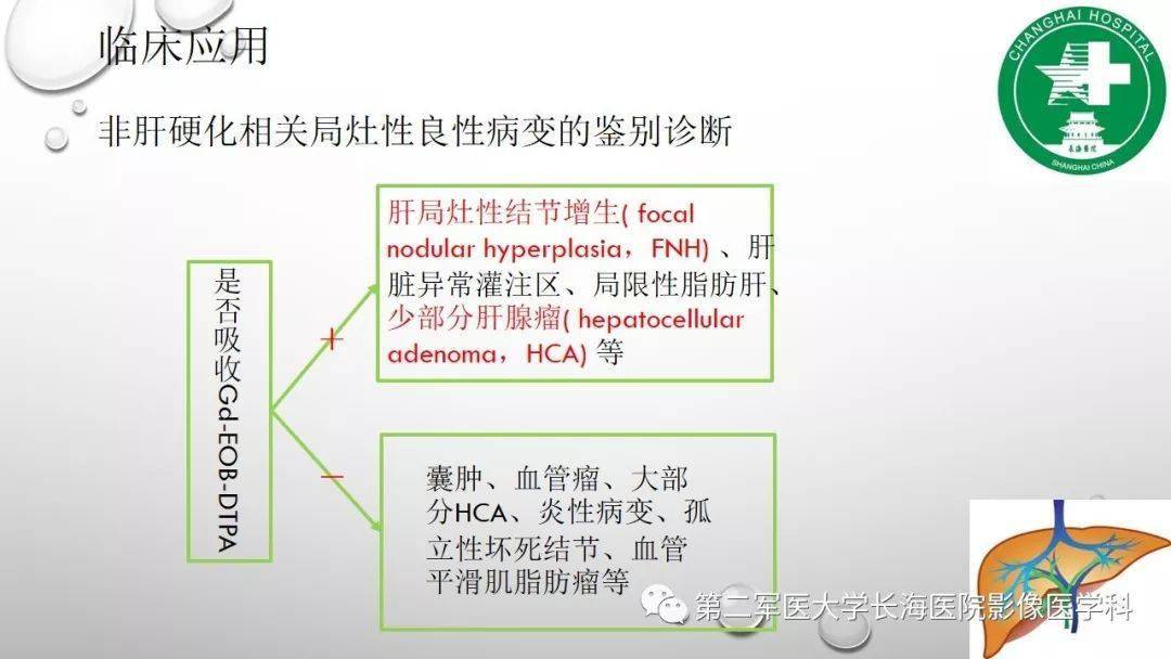 普美显丨肝胆特异性MRI对比剂-钆塞酸二钠Gd-EOB-DTPA_肝脏