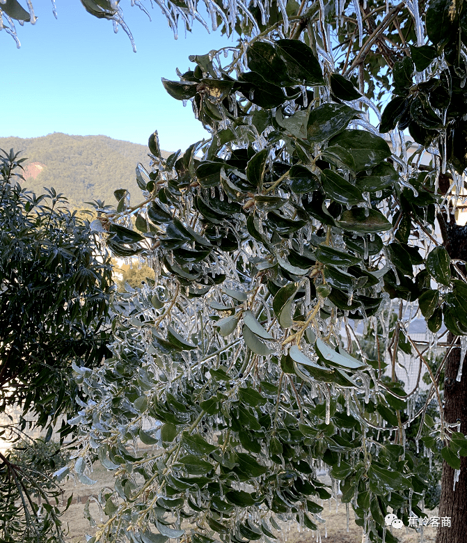 新铺的落霜大垦,你那里落了吗?