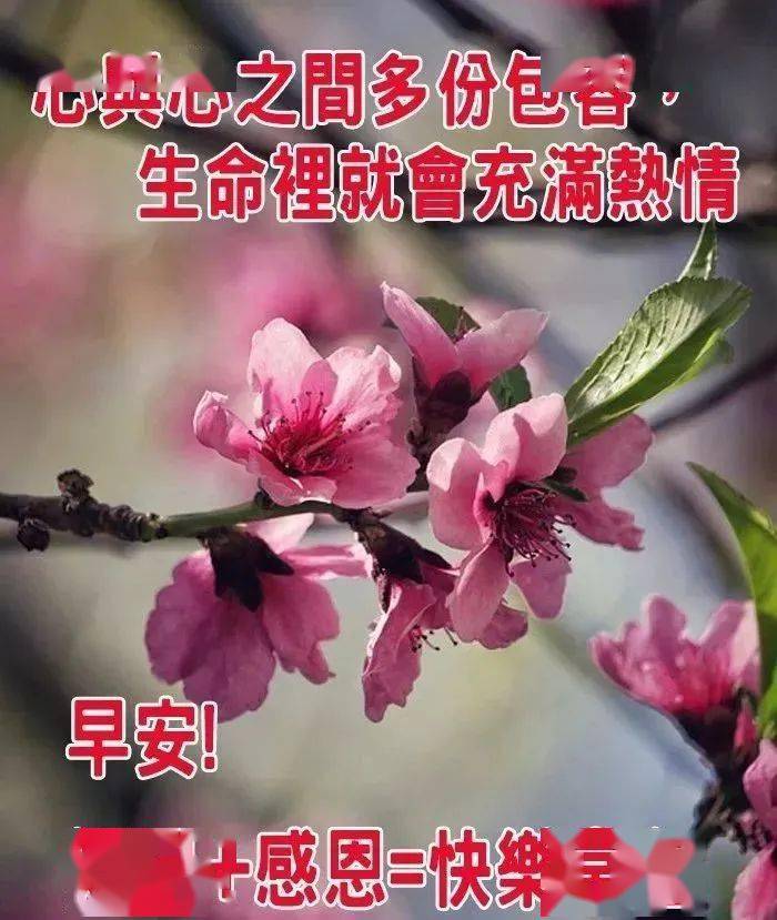 1月15日早上好祝福表情圖早安正能量溫馨問候語大全