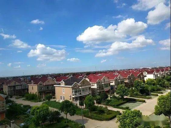 乡村振兴何桥村夯实高质量发展根基谱写乡村振兴新篇章