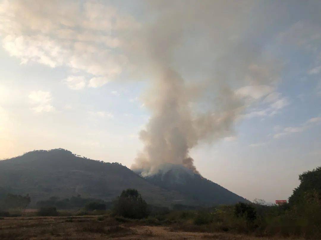 石龙六鳌山着火了.