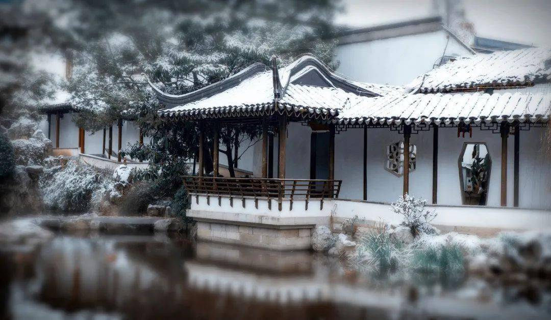 下雪时的院子,真美!