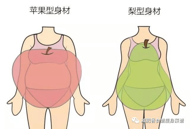 一方面女性容易造成"梨形肥胖" or 男性容易造成苹果型肥胖",皮肤肤