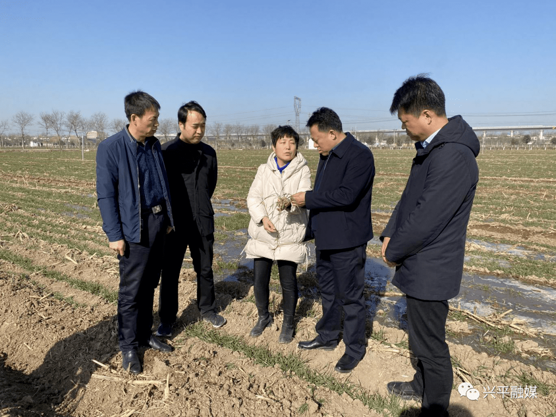 【增量提质 高点开局】咸阳市副市长程建国来我市检查指导小麦条锈病