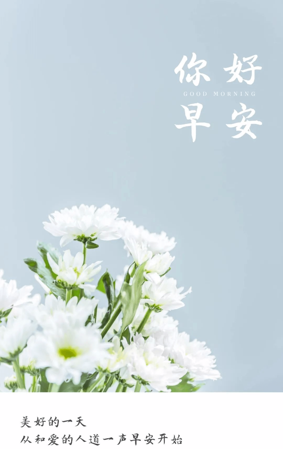 116早安新的一天新的开始