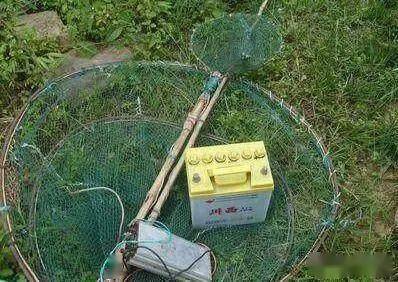 一男子在天仙河电鱼被处罚.